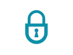 Mobile Datenerfassung_Sicherheit